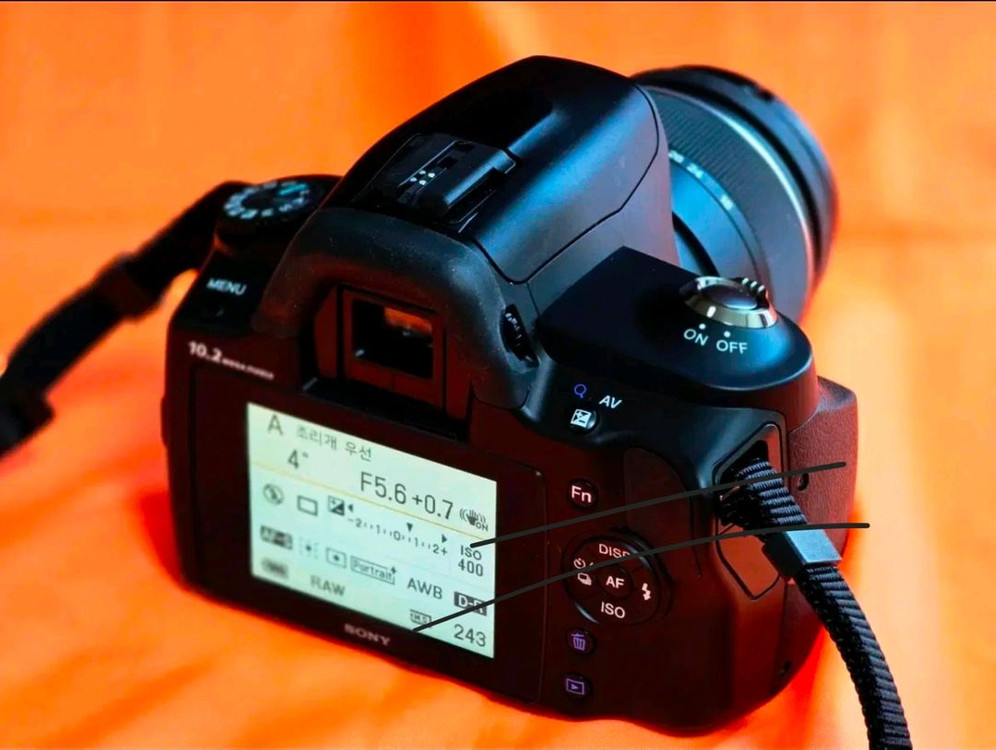 소니 Alpha a230 DSLR 카메라 풀세트 이미지