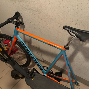 콘스탄틴 디스페랄 이미지