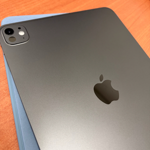 애플 아이패드프로 11인치 m4 256GB 셀룰러 6세대 이미지