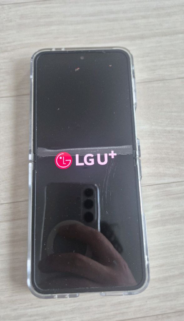 갤럭시 Z 플립6 256GB 이미지