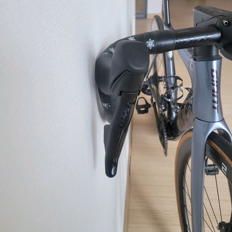 2022년식 자이언트 프로펠 어드밴스1 팝니다. 이미지