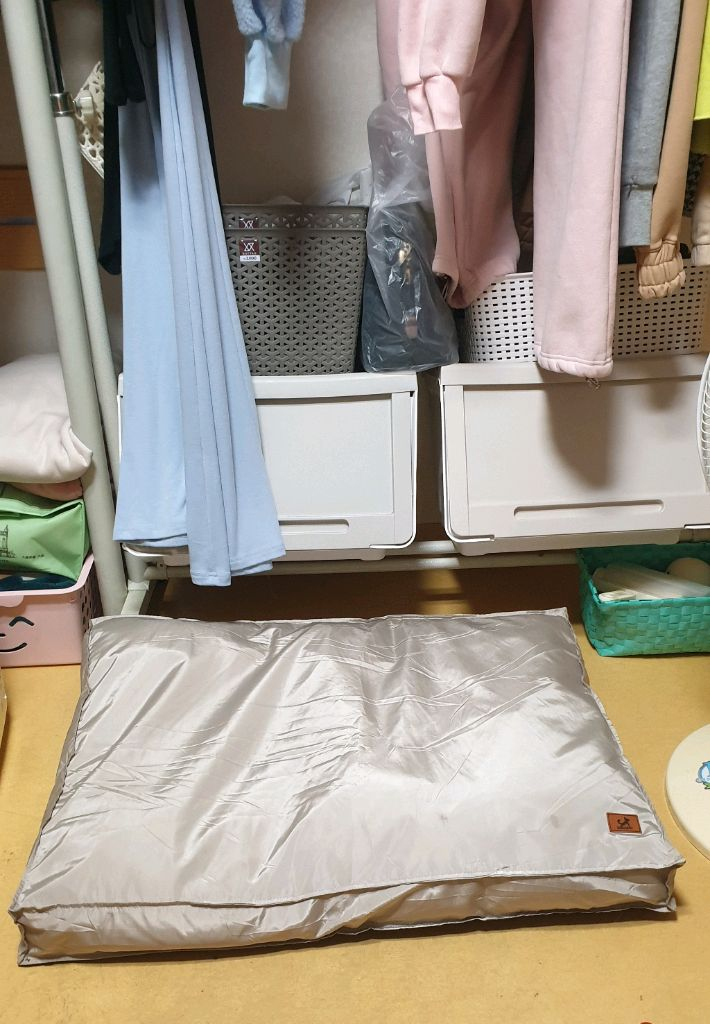 딩동펫 애견 방석 판매해요 이미지