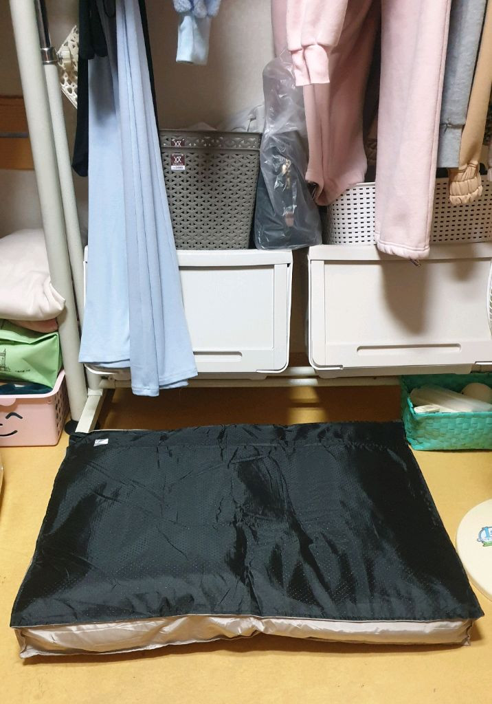 딩동펫 애견 방석 판매해요 이미지