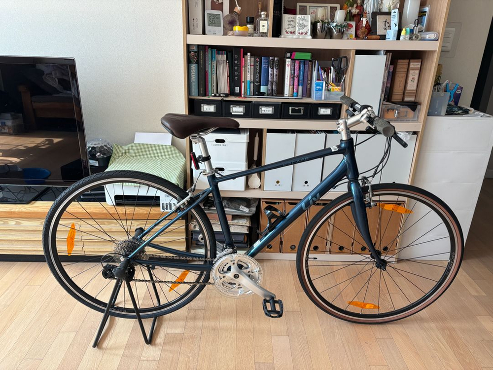 자이언트 리브 에스케이프 s사이즈 이미지