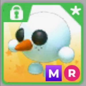 입양하세요 메타 스노볼 이미지