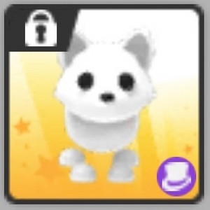 입양하세요 북극여우 이미지