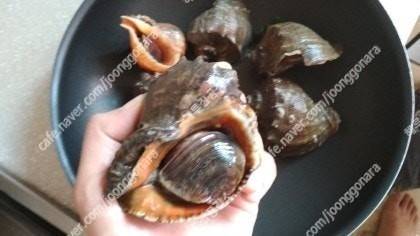 해루질 렌턴 수중서치 100m 스쿠버 다이버 랜턴 이미지