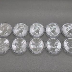 [급처]캐나다 조폐국 1온스 실버 메이플 은화 10개(2019년) 이미지