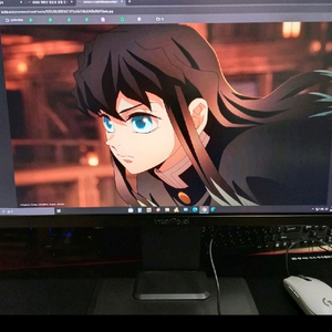 인터픽셀 IP2430 게이밍 모니터 59000원 이미지