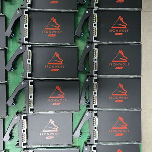 시게이트 아이언울프125 NAS SSD 4TB AS남음 이미지