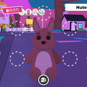 입양하세요 캥거루 판매 이미지