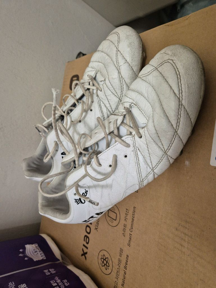 (260mm) 아슬레타 T7 MG 이미지