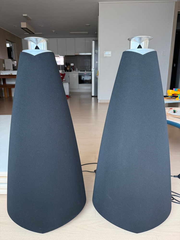 [가격인하] 뱅앤올룹슨 베오랩20 (B&O beolab20) 이미지