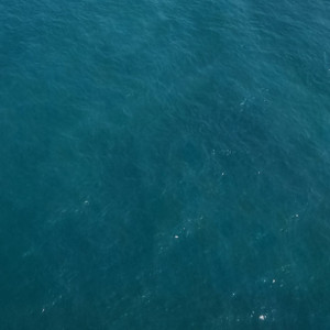 구글 정보 75퍼 ㅍ 콘텐츠 대리 이용료 이미지