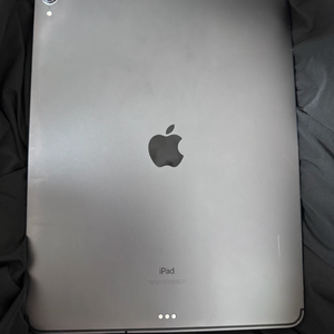 아이패드 프로 3세대 12.9인치 64기가 셀룰러 이미지