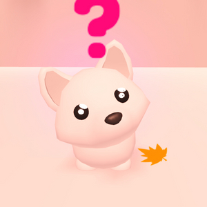 입양하세요 타 북극여우 북여 이미지