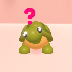 입양하세요 날타 거북이 이미지