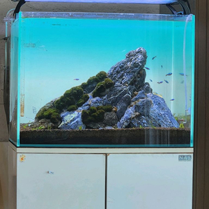 어항용품(청룡석,백라이트 led스크린, 웨이브포인트 조명) 이미지