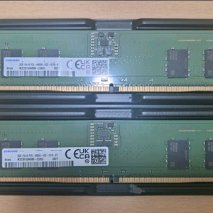 삼성 DDR5 16GB ( 8GB x2) 램 이미지