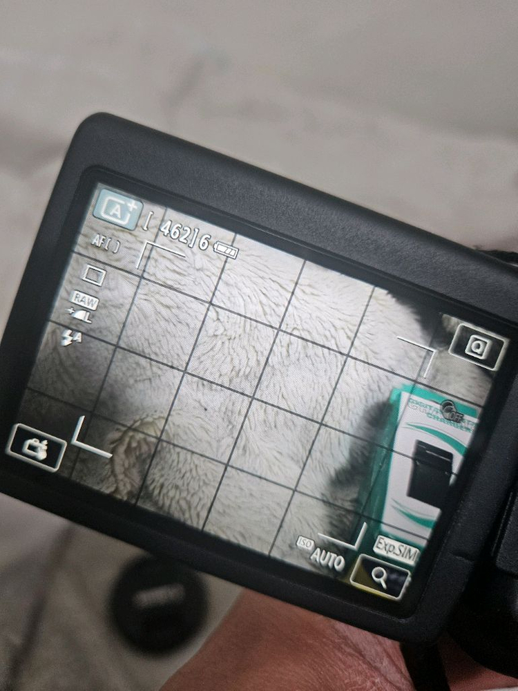 캐논 eos 750d dslr 디지털 카메라 레트로 디카 이미지