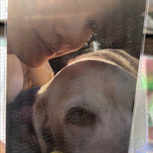 선재업고튀어 선업튀 온라인 팝업 변우석 배우 포토카드 이미지