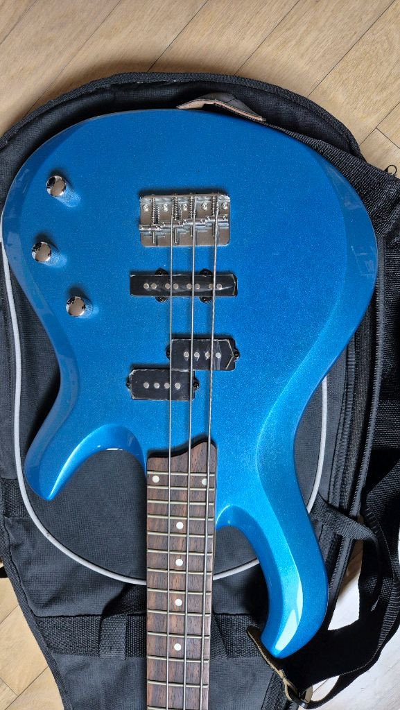 입문용 데임 베이스 기타 & 콜트 일렉 기타 이미지