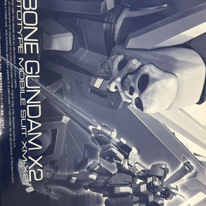 RG 크로스본X2 이미지