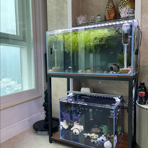 (경기 북부) 프리미엄 3자 광폭 어항 8T, 2자 광폭 어항 6T + 2단 프리미엄 멀바우 축양장 세트 상태 S급 이미지