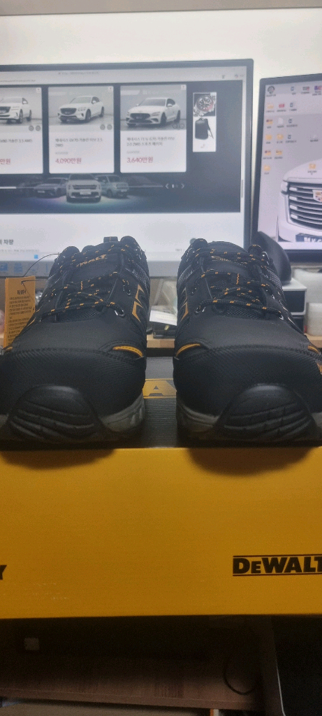 디월트 안전화 285 이미지