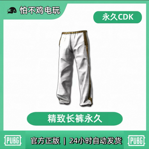 배그 스킨 코드 고풍스러운 바지 최저가 이미지