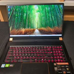 MSI 게이밍 노트북, 17.3인치, RTX2070, 1TB, 16GB 이미지