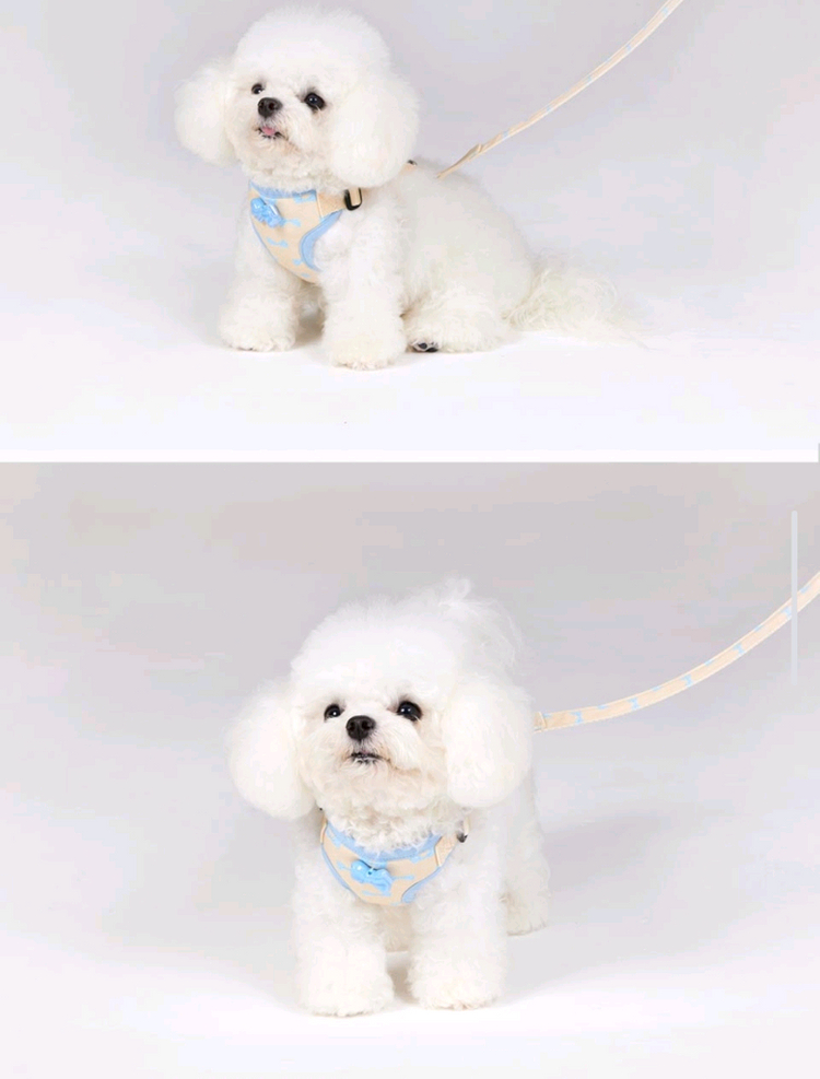 미밍코 강아지 하네스 L 판매합니다 이미지