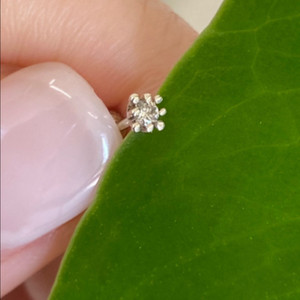 14k리얼화이트 라이트꼬냑다이아 피어싱(저녁까지만)이가격 이미지