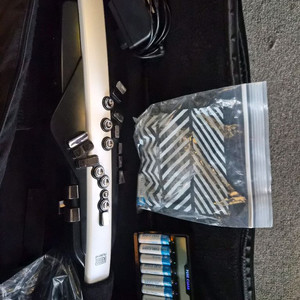 로랜드 롤랜드 AE 20 에어로폰 전자색소폰 이미지