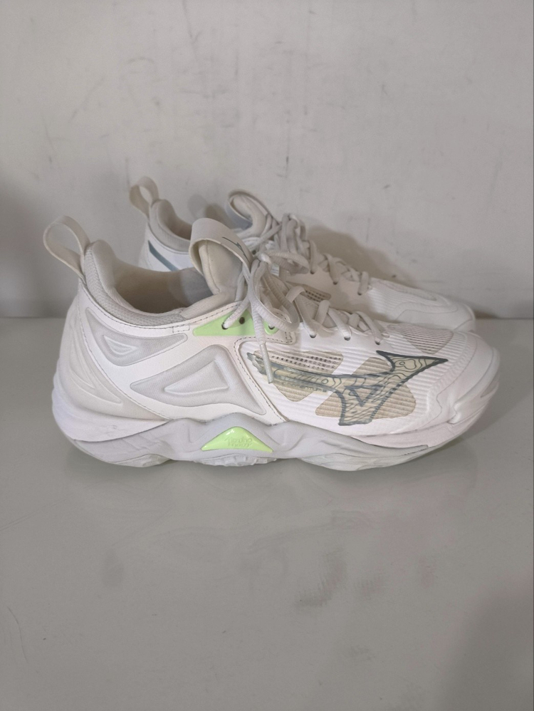 255mm 미즈노 웨이브 모멘텀3 인도어화 배드민턴화 이미지