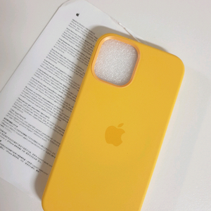 아이폰12 미니 케이스 이미지