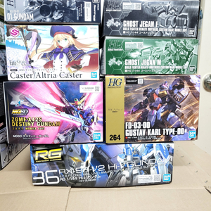 RG하이뉴/MGSD데스티니/HG 01건담/30MS 알트리아 캐스터등 팝니다 이미지