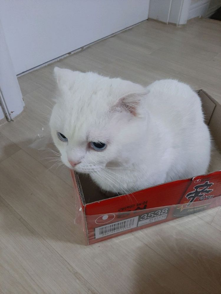 디지털카메라 이미지