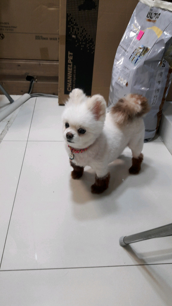 디지털카메라 이미지