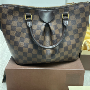 다미에 PM 핸드백 이미지