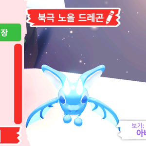 입양하세요 펫 네온 북극 노을 드래곤 판매합니다. 이미지