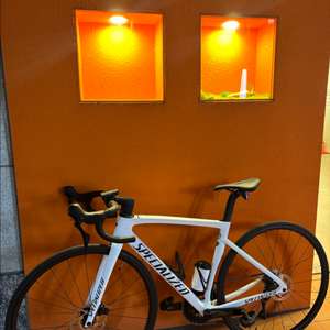 급처) 스폐셜라이즈드 타막 sl7 로드 26년식 판매/대차 이미지