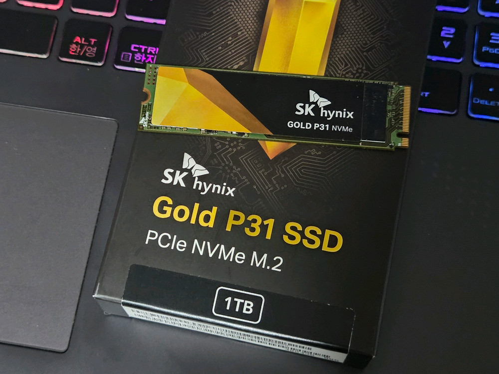 하이닉스 P31 1TB 이미지