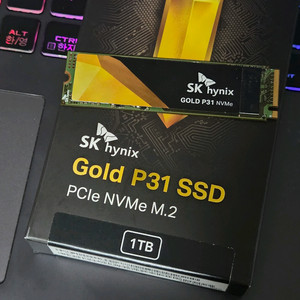 하이닉스 P31 1TB 이미지