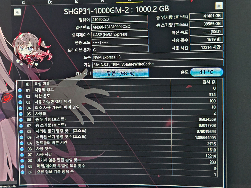 하이닉스 P31 1TB 이미지