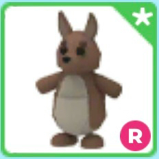 입양하세요 캥거루 (타) 이미지