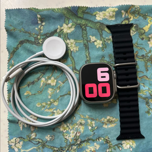 애플워치 울트라2 49mm 내추럴 SSS급 이미지