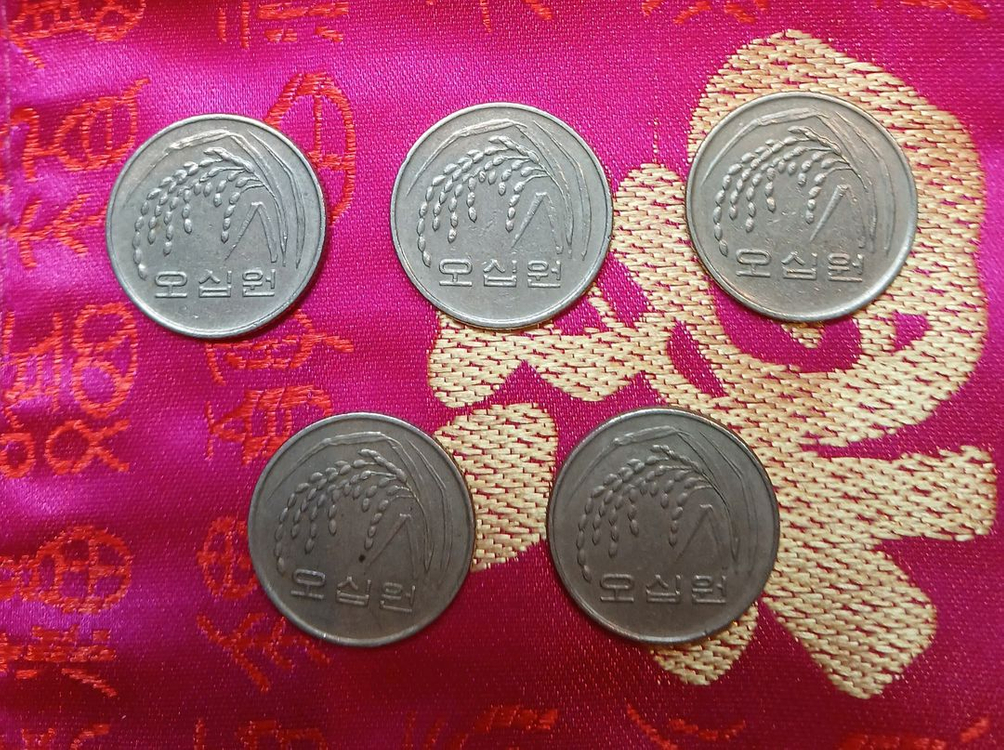 1988년 50원 동전 5개 일괄 이미지