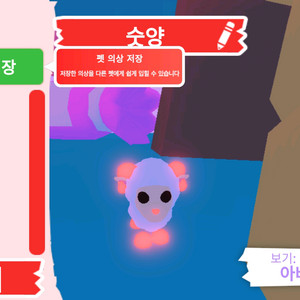 입양하세요 펫 메가네온 숫양 판매합니다. 이미지