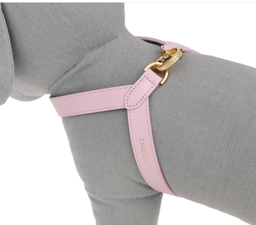 리리쁘앙 파스텔핑크/블루 투톤 뷔뷔 강아지하네스 판매합니다 이미지